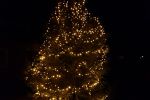 5-meter hoge kerstboom op het schoolplein! 1